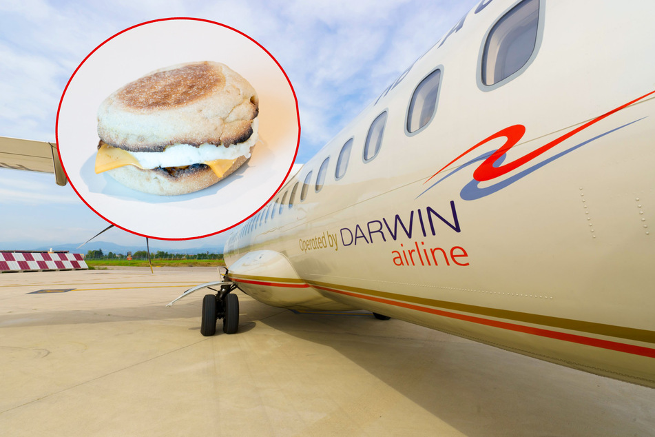 McDonald's im Gepäck: Flugzeug-Passagier muss riesige Strafe zahlen!
