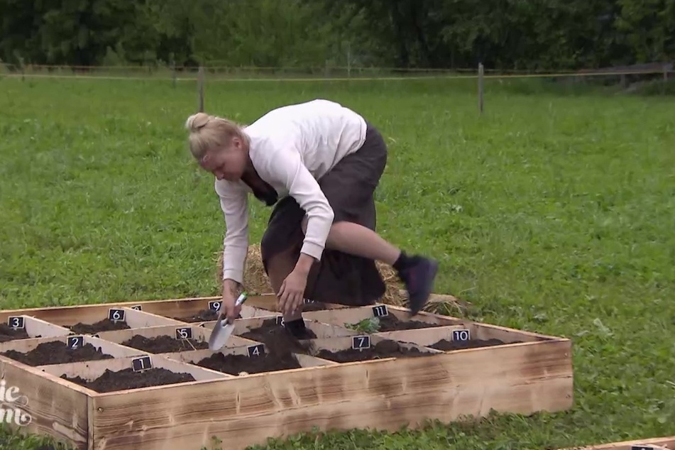 Beim Spiel "Kraut & Rüben" ging es ans Ausbuddeln und Rechnen - gar nicht so einfach für die Promis.