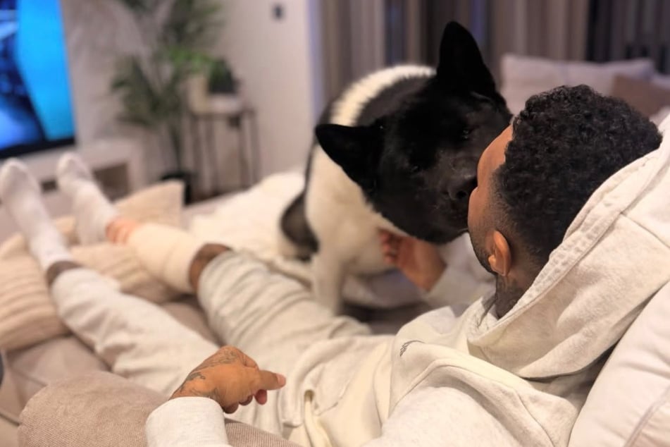 Ex-Fußballprofi geht mit Hund Gassi und muss danach mit mehr als 50 Stichen genäht werden