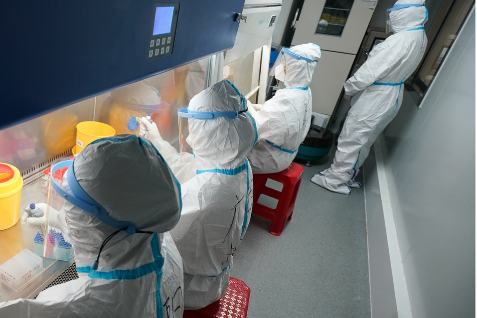 In mehreren Ländern wurde die Virus-Version B.1.1.529 bereits nachgewiesen.
