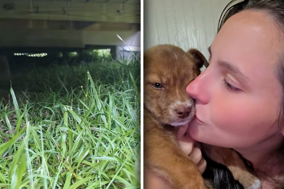 Kara Barreras rettete Mitte Mai das Welpen-Mädchen Alice.