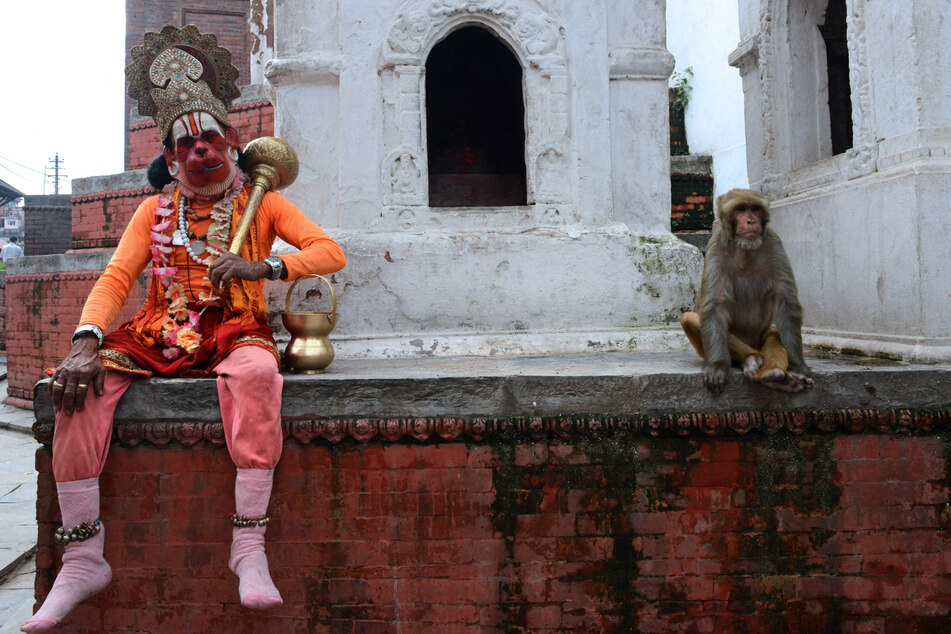Ein hinduistischer Mönch, der dem Affengott Hanuman folgt, sitzt neben einem Makaken. Die Tiere werden in Nepal vielerorts hochverehrt.