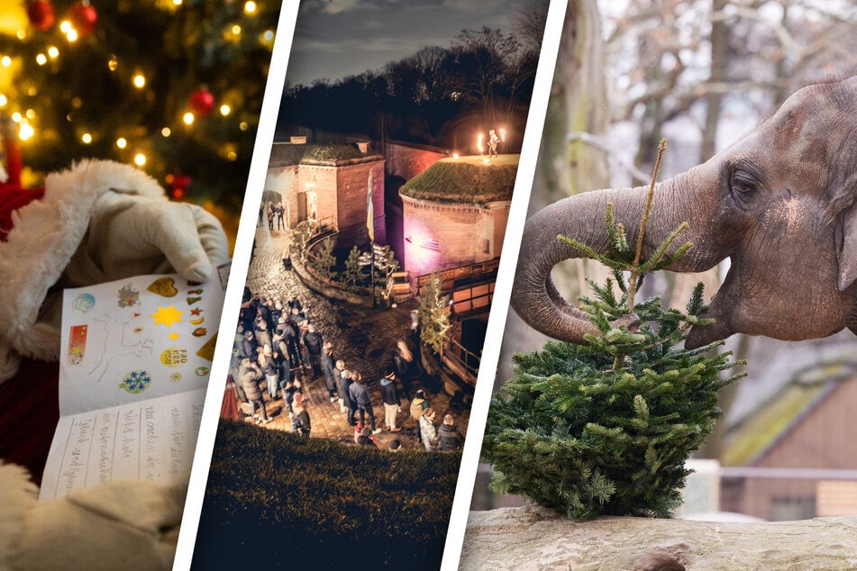 Mit diesen Events in Magdeburg kommt Ihr in Weihnachtsstimmung