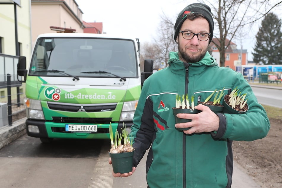 Die ITB-Dresden GmbH sucht einen Mitarbeiter (m/w/d) im Garten- und Landschaftsbau.