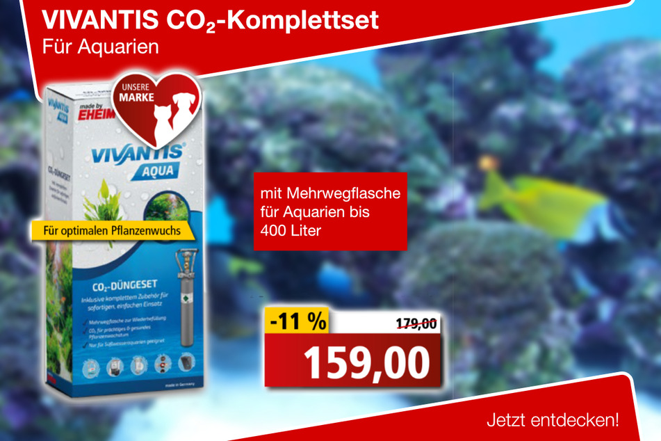 VIVANTIS CO2-Komplettset für Aquarien (verfügbar nur in Coswig und im Elbepark)