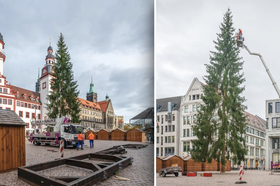 Chemnitz: An diesem Tag wird der Chemnitzer Weihnachtsbaum aufgestellt