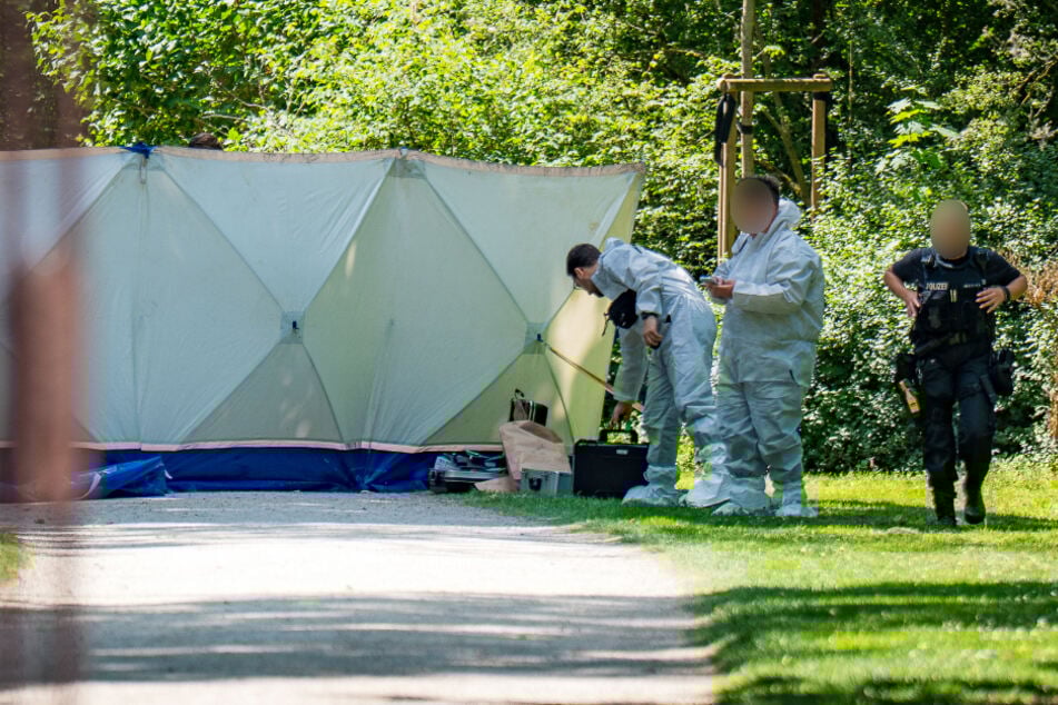 Die schreckliche Gewalttat spielte sich auf der Nordseite des Schlossparks in Wiesbaden-Biebrich ab.
