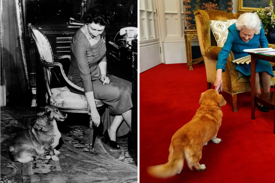 Queen Elizabeth II is known for her love of horses and dogs, having had about three dozen corgis and dorgis during her reign.