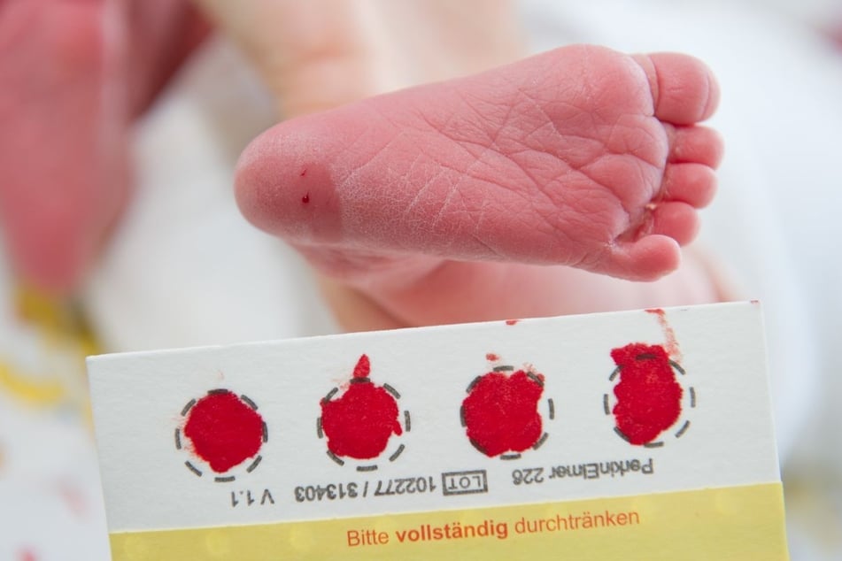 Beim Neugeborenen-Screening werden den Babys am zweiten oder dritten Lebenstag wenige Tropfen Blut aus der Ferse entnommen und im Labor untersucht.