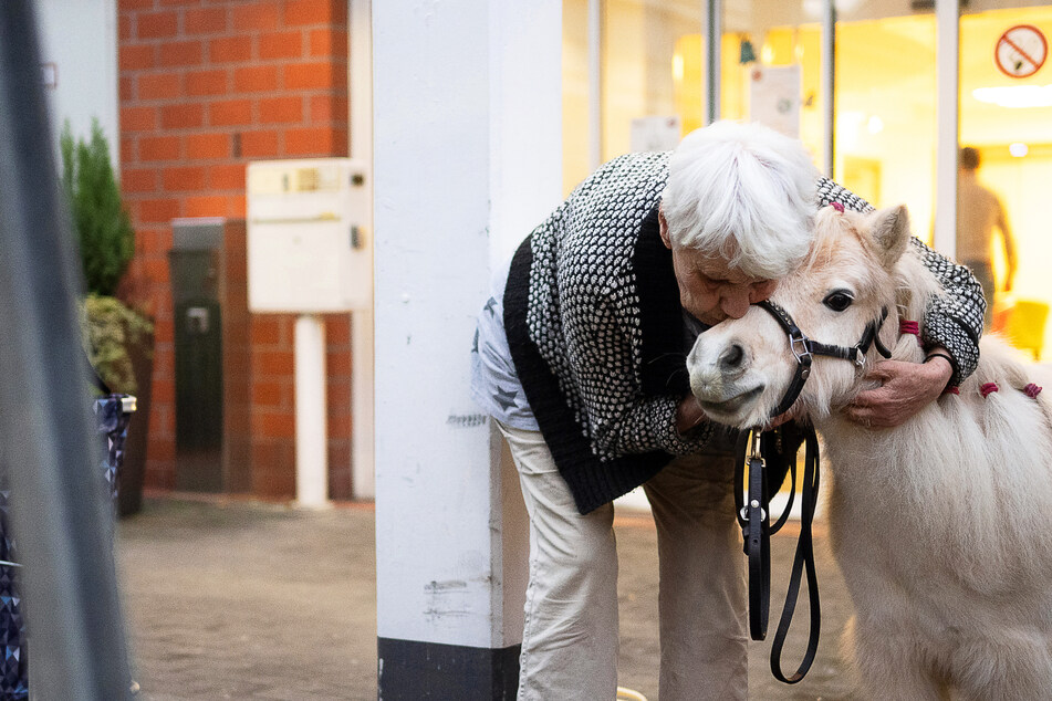 Frankfurt: Herzzerreißender Pony-Besuch in Frankfurter Pflegeheim: "Tiere schenken einfach Glücksgefühle"