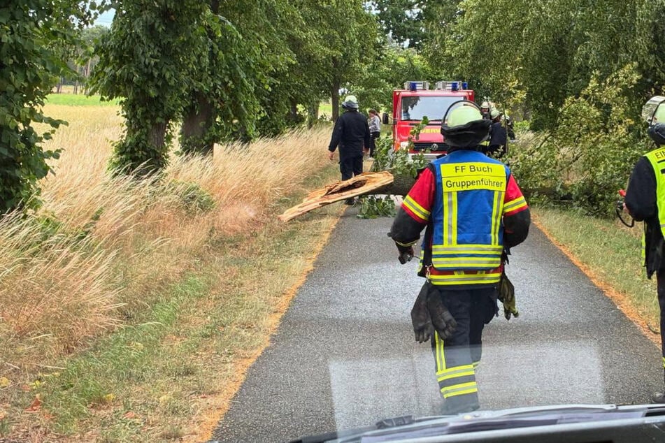 Vor allem umgestürzte Bäume machten den Feuerwehren zu schaffen.