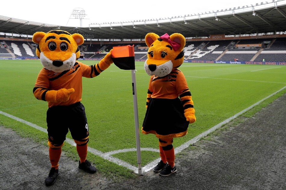 Die Tiger-Herde aus Amber (r.) und Roary ist schon seit Jahren für Hull City im Einsatz.