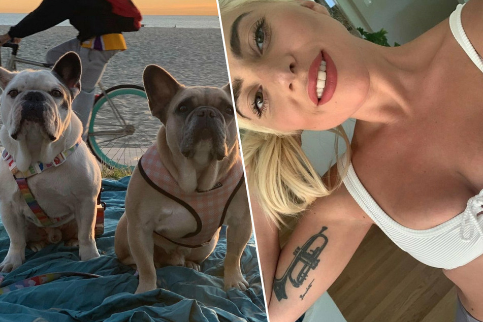 Sängerin Lady Gaga (35) hat allen Grund zur Freude! Ihren beiden Hunden geht es nach der Entführung gut, auch Tatverdächtige wurden nun geschnappt.