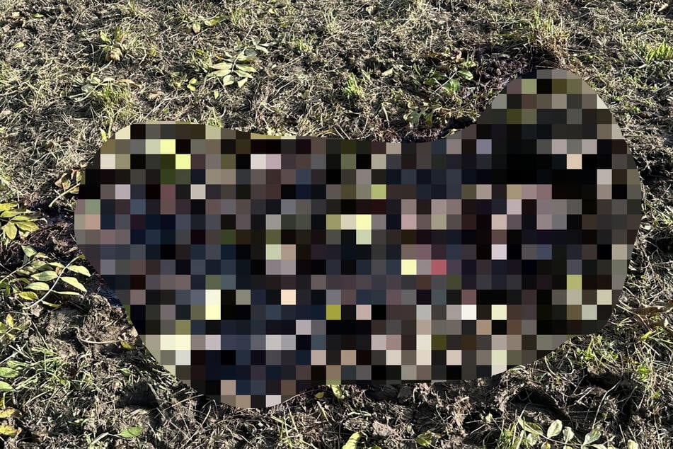Auf der Wiese befand sich eine große Blutlache. Die Kripo ermittelt.