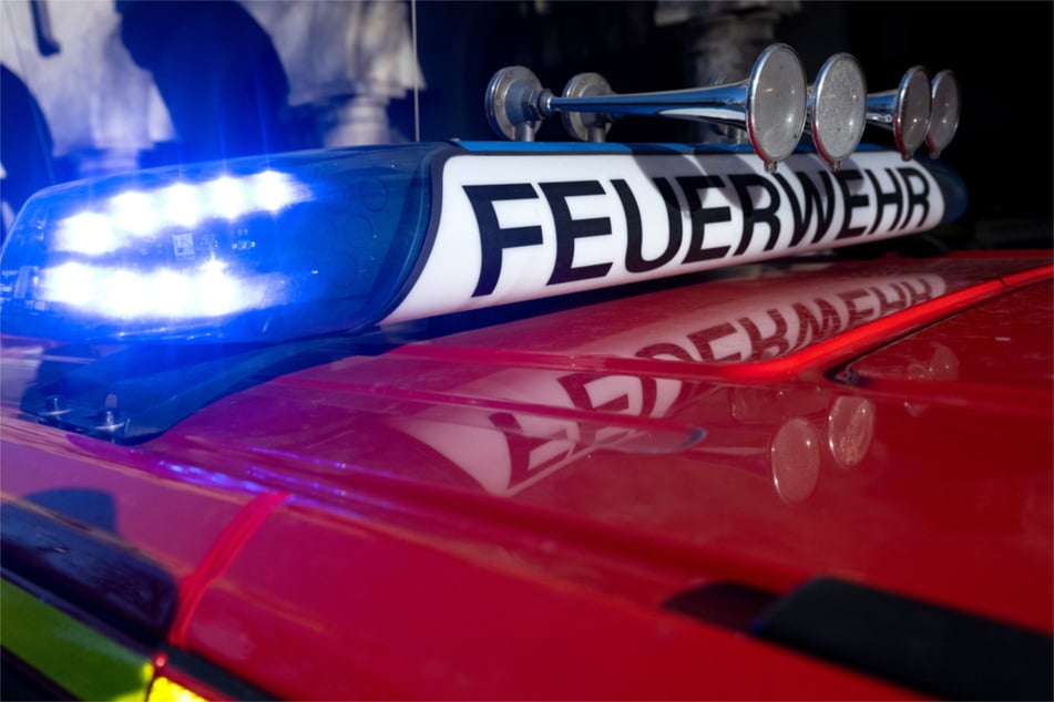 Zehn Mülltonnen wurden durch die Flammen zerstört. (Symbolfoto)