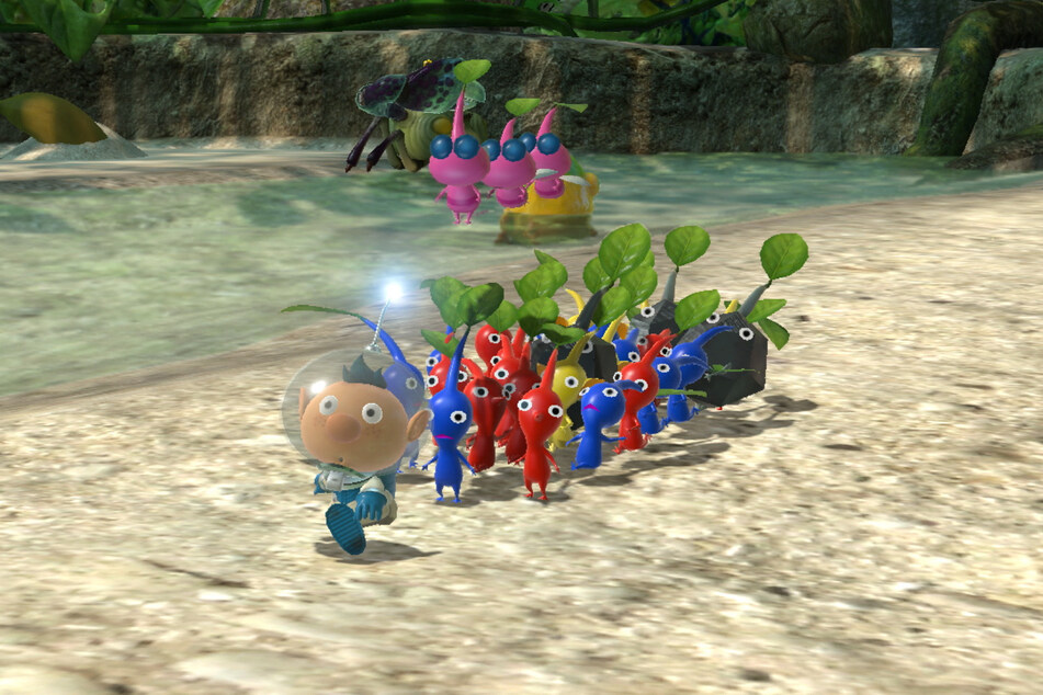 Im Laufe des Abenteuers gesellen sich zahlreiche unterschiedliche Pikmin zu Eurer Gruppe. Je nach Farbe haben sie verschiedene Fähigkeiten.