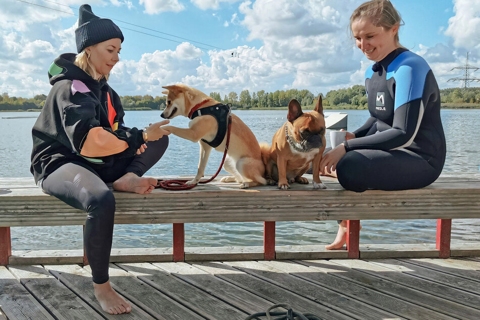 Danach darf natürlich das Lob für die Hunde nicht fehlen.