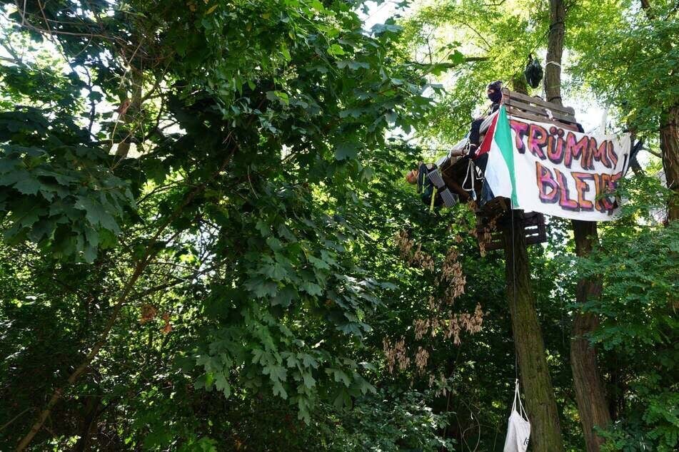 Durch die Besetzung im Baumhaus wollen die Aktivisten den Wald retten.