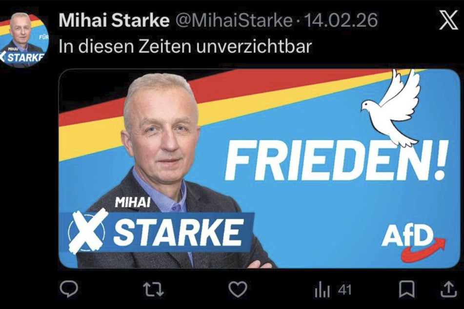 In den neusten Beiträgen geht es bei Mihai Starke (56) um den Wahlkampf.