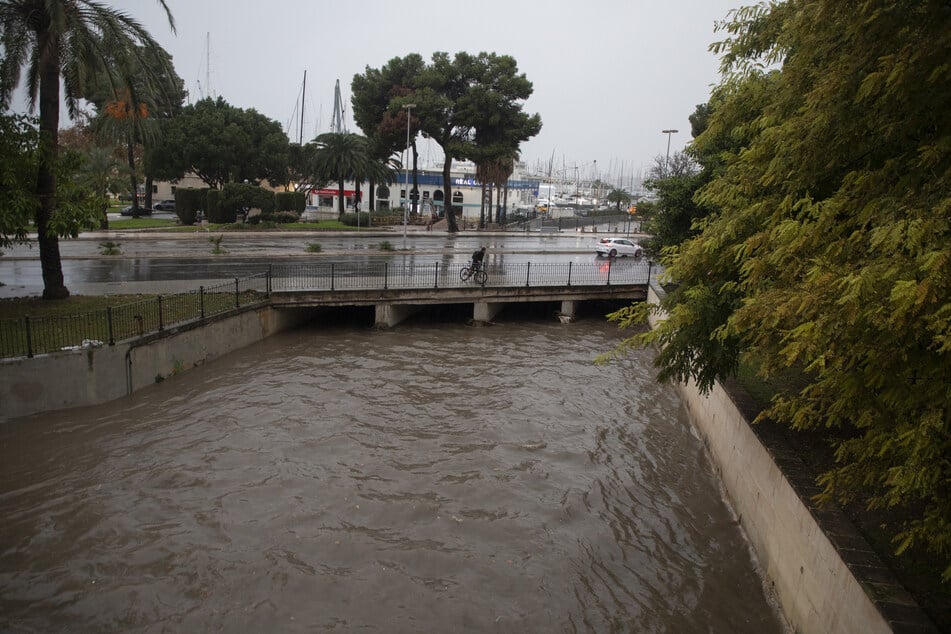 Der Fluss Sa Riera in Palma führt viel Wasser, kurz bevor er ins Meer mündet.