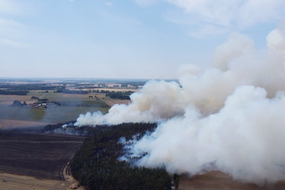 Flammen greifen von Feld auf 25 Hektar Wald über: Großeinsatz der Feuerwehren im Börde- und Altmarkkreis