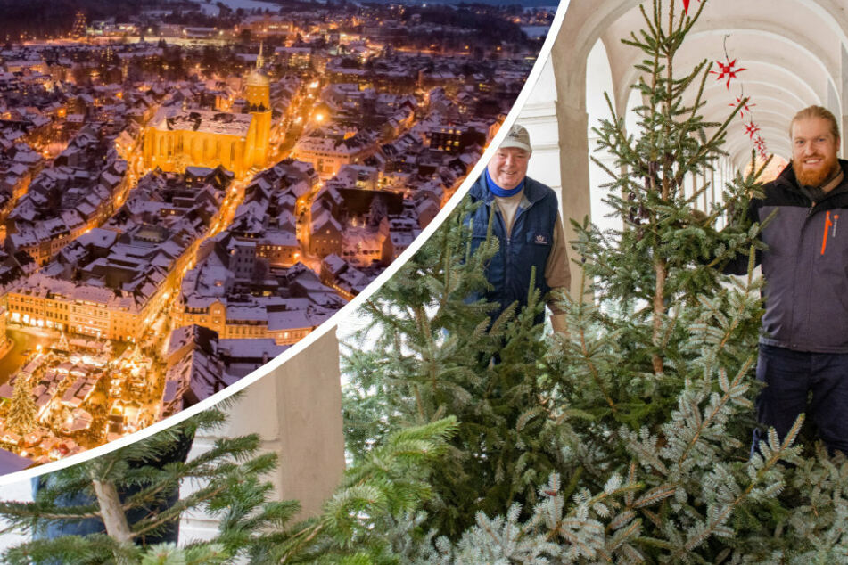 Das Erzgebirge ist nicht nur für seine Handwerkskunst bekannt. Traditionell erstrahlt es auch in Corona-Zeiten in weihnachtlichem Gewand (l.). In Kamenz werden hundert Weihnachtsbäume für einen Parcours aufgestellt.