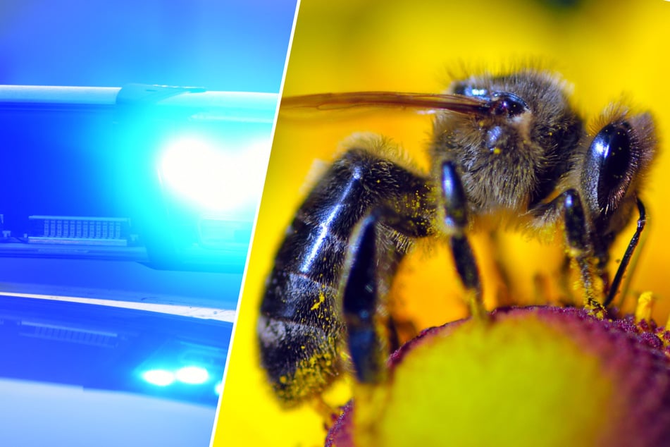 Fiese Bienen-Attacke: Fahrer kommt von Straße ab - Auto kippt!