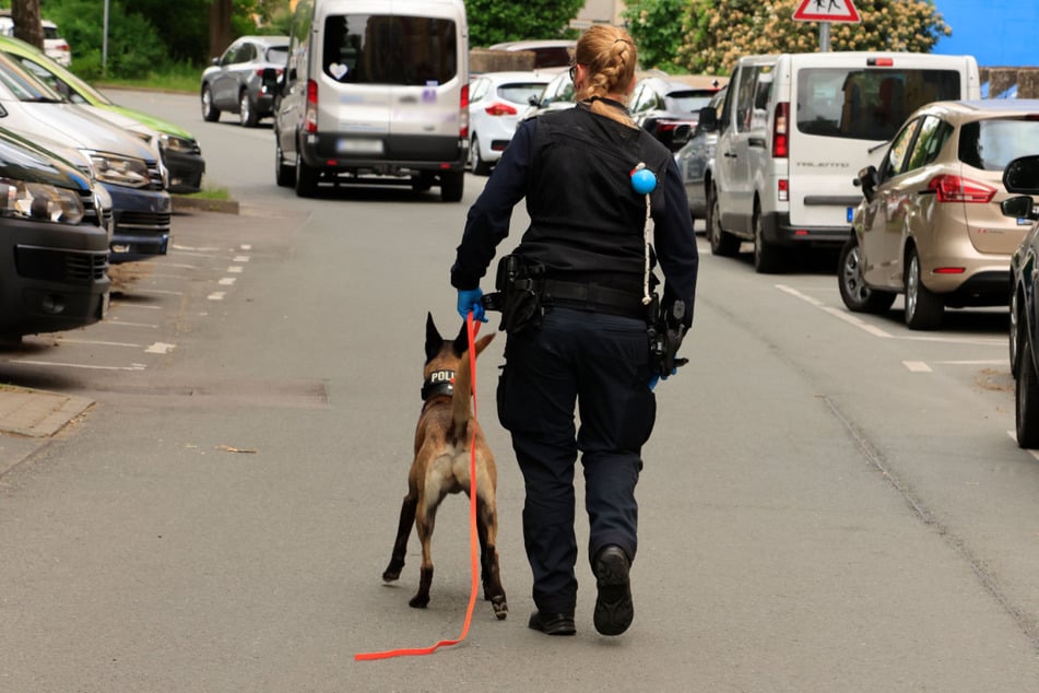 Ein Spürhund war im Einsatz.