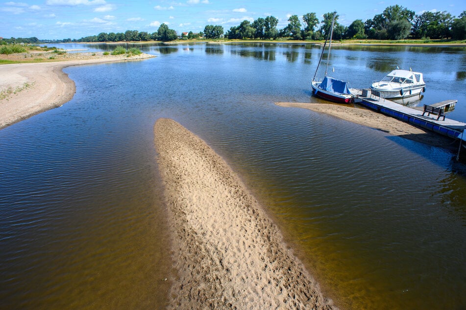 Die Schifffahrt auf der Elbe ist nahezu eingestellt. Für Schiffe fließt zu wenig Wasser.