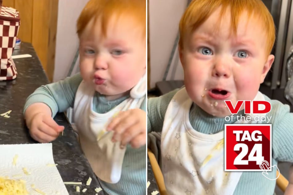 viral videos: Viral Video of the Day for November 3, 2025: Toddler has epic meltdown over shredded cheese