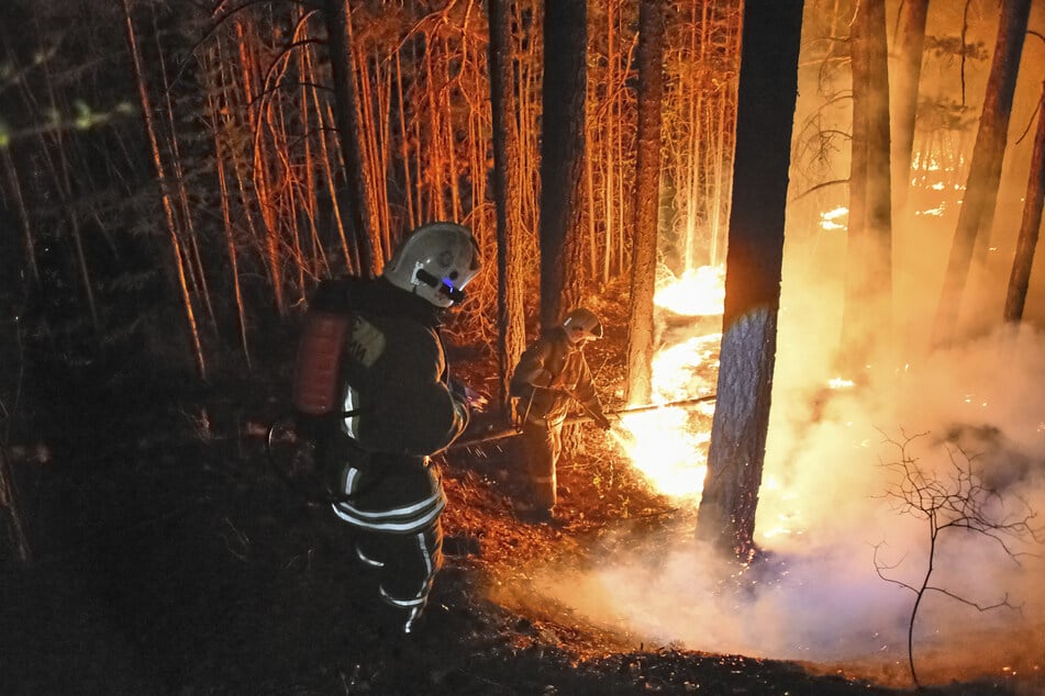 Die Waldbrandgefahr steigt laut dem deutschen Wetterdienst in Bonn und Umgebung in den kommenden Tagen auf Stufe 4 (hohe Gefahr). (Symbolbild)