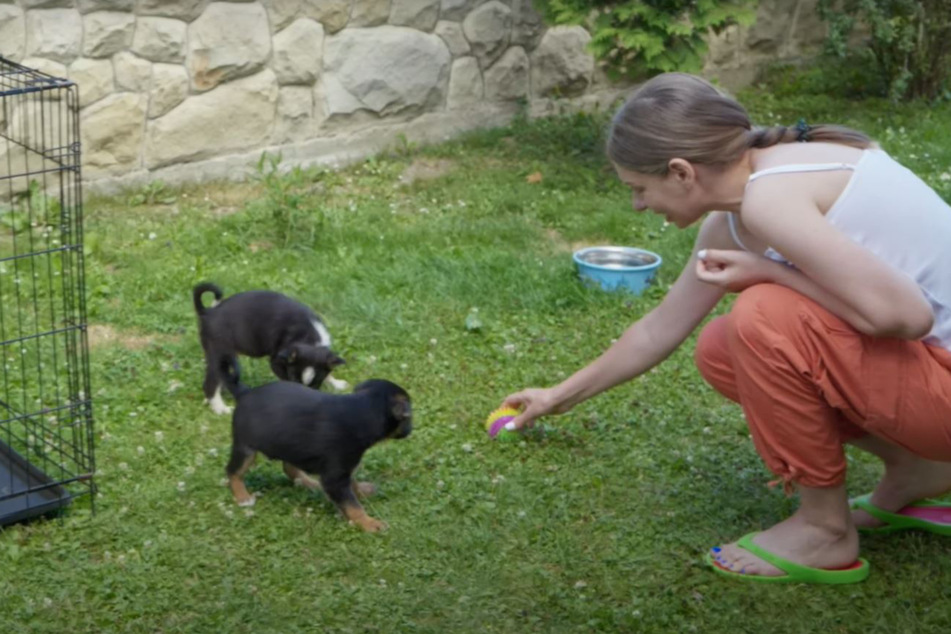 Sie ist offenbar noch immer in der Ukraine, um Hunden zu helfen: Olena.