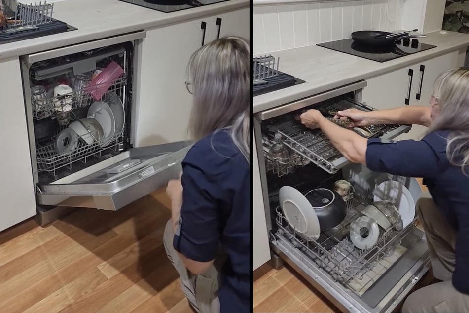 Frau will Spülmaschine ausräumen: Als sie sieht, wer darin hockt, greift sie sofort zum Telefon