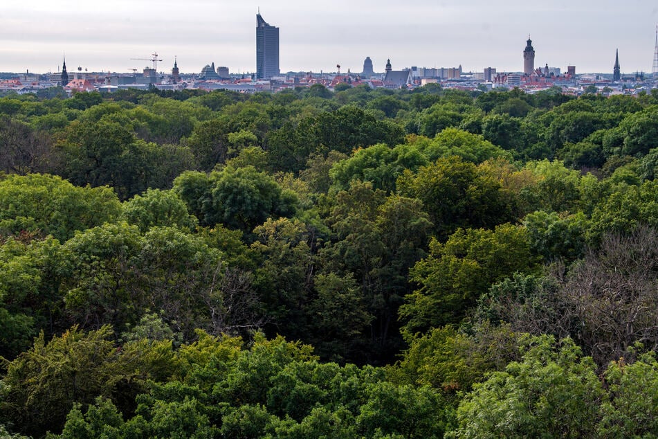 Auch Sachsens größte Stadt Leipzig liegt auf der Route.