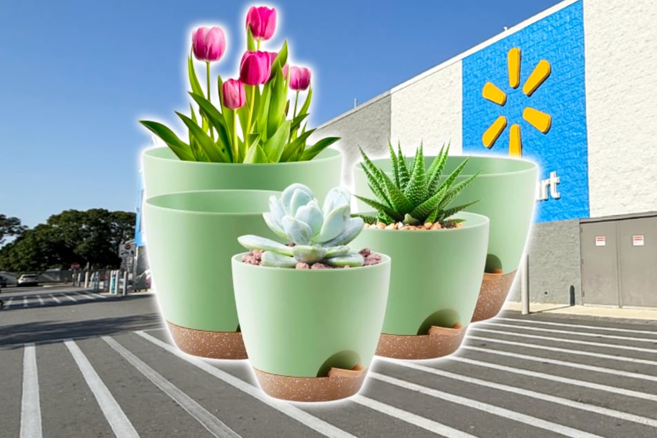 Walmart Is Selling Self-Watering Plant Pots Just in Time for Gardening Season