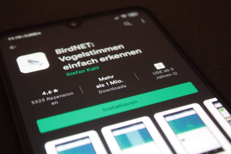 Mehr als eine Million Mal wurde die Vogelstimmen-App der TU Chemnitz heruntergeladen.