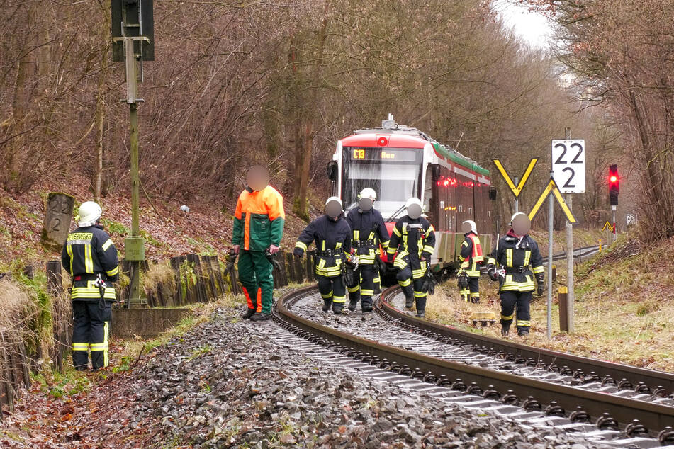 Hier ging am Donnerstagmittag nichts mehr - zwischen Niederwiesa und Hainichen stürzte ein Baum auf die Gleise. Die City-Bahn-Linie C15 war betroffen.