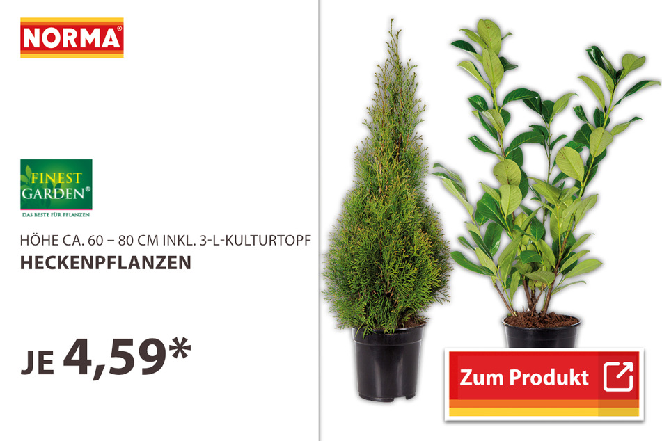 Heckenpflanzen