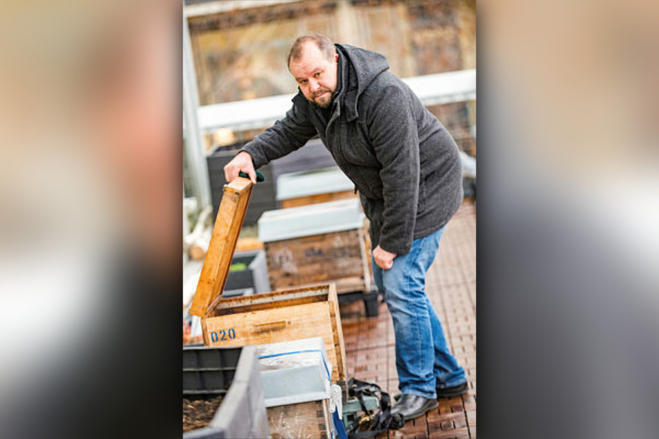 Imker Tino Lorz (44) macht sich Sorge um seine Bienenvölker.
