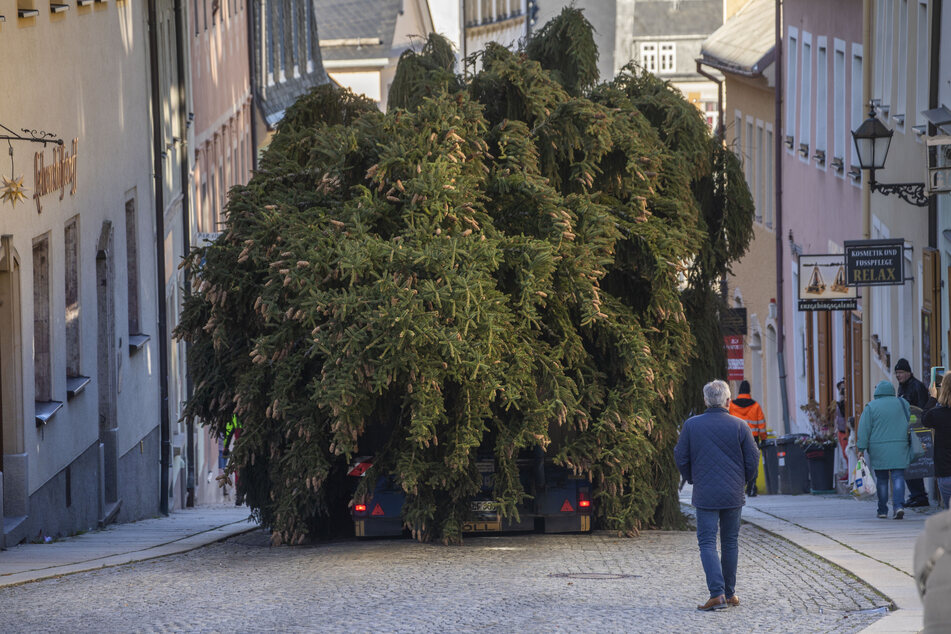 Ganz schön eng! Der 27 Meter hohe Weihnachtsbaum wurde mit einem Laster durch die enge Kirchgasse transportiert.