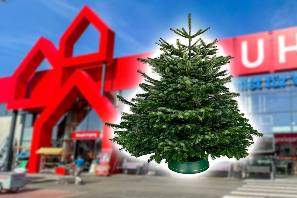 BAUHAUS verkauft Weihnachtsbäume gerade mega günstig