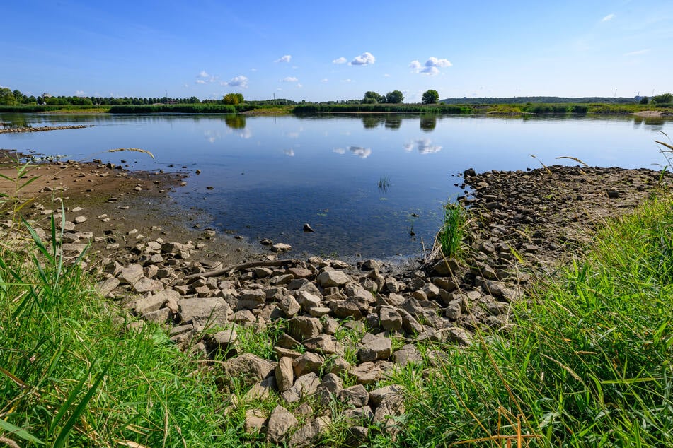 Sommer ist zurück in Berlin und Brandenburg: Temperaturen knacken bald ...