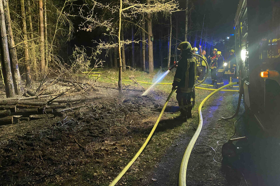 Die Feuerwehr musste einen Waldbrand im Landkreis Bautzen bekämpfen.