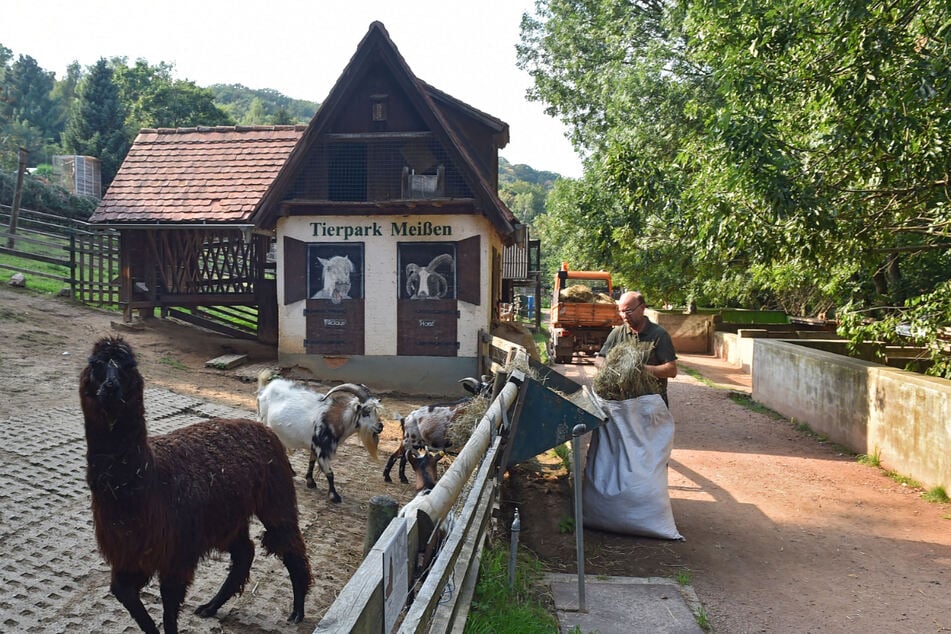 Der Meißner Tierpark steht ganz oben auf Renners To-Do-Liste.