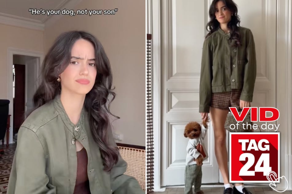 This woman's dog just proved he's more "son" than "pet" - and TikTok just can't handle the cuteness!