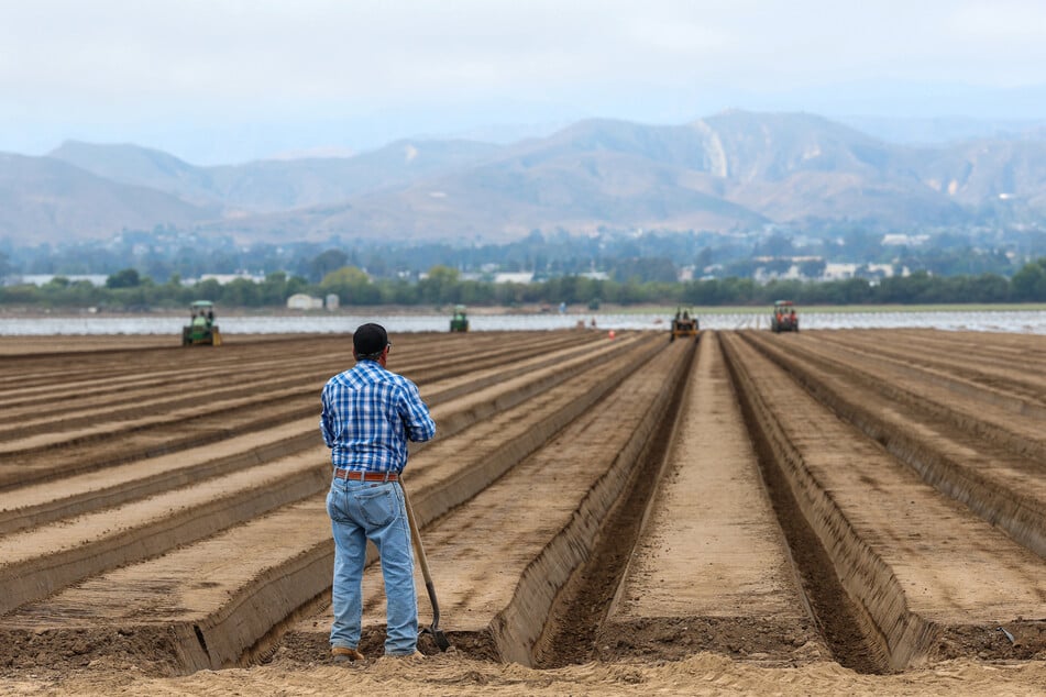 A man stands near tractors and farmworkers on a strawberry field in Oxnard, California.