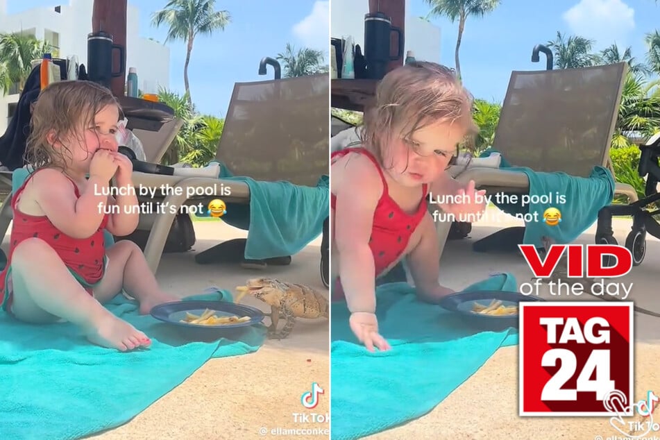In today's Viral Video of the Day, a little girl's lunch by the pool was crashed by a creepy creature!