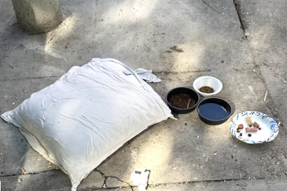 Ein Kissen und etwas Futter - das war alles, was dem ausgesetzten Hund noch blieb.