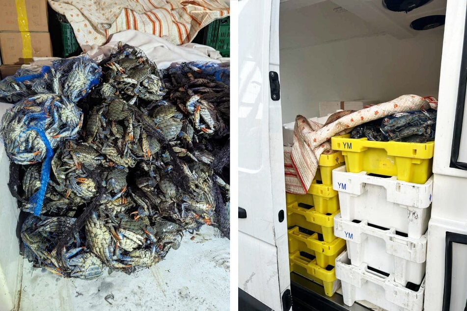 Kierowca oświadczył, że chciał dostarczyć raki do restauracji w regionie Rhein‑Main.