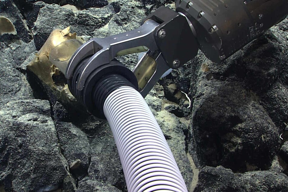 Researchers used a remotely operated survey vehicle to spot and recover the strange item on a rock in the Gulf of Alaska.